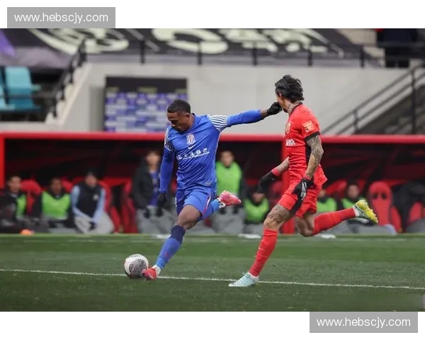 新浪体育全新升级聚焦全球赛事热点尽享精彩体育盛宴